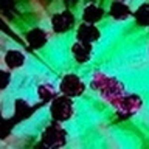 Meet your Posher, Seth